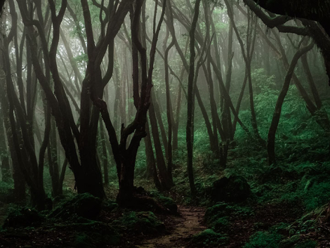 w-poszukiwaniu-przyjaciela